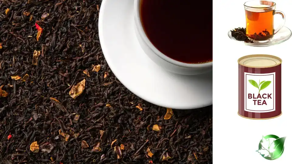 Black Tea quality, format, and packaging should be matched to the buyer’s target application.